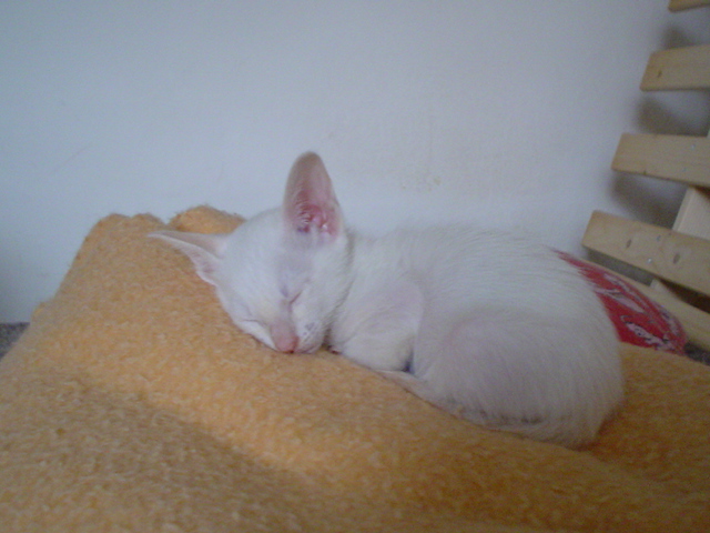 DSC01668.JPG