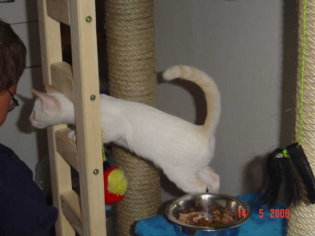 DSC00270+.jpg