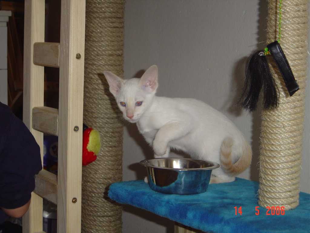 DSC00272+.jpg