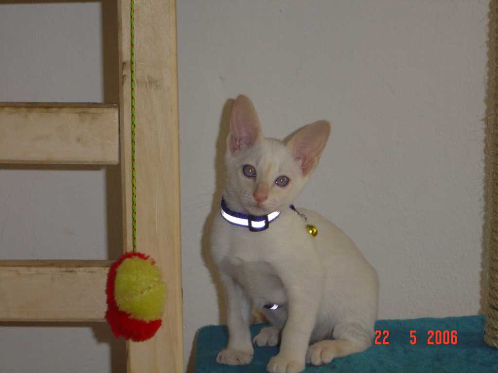 DSC00450+.jpg
