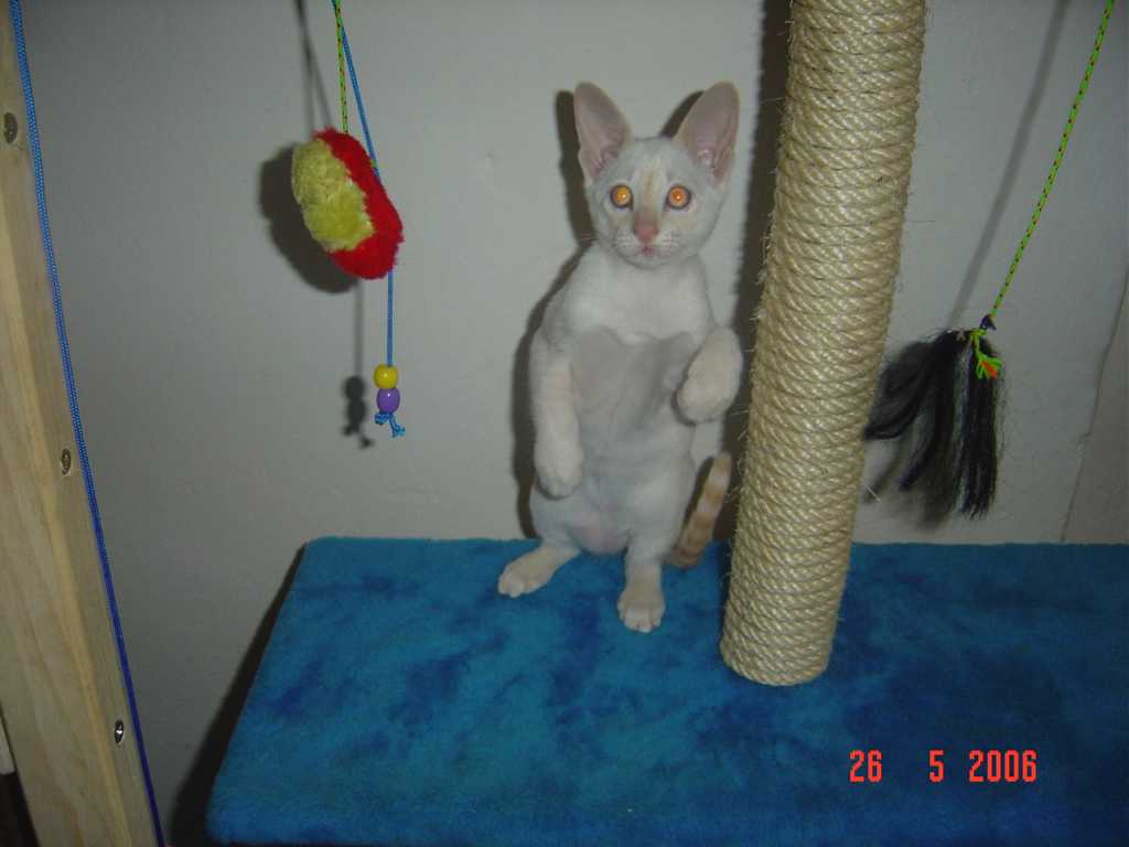 DSC00522+.jpg