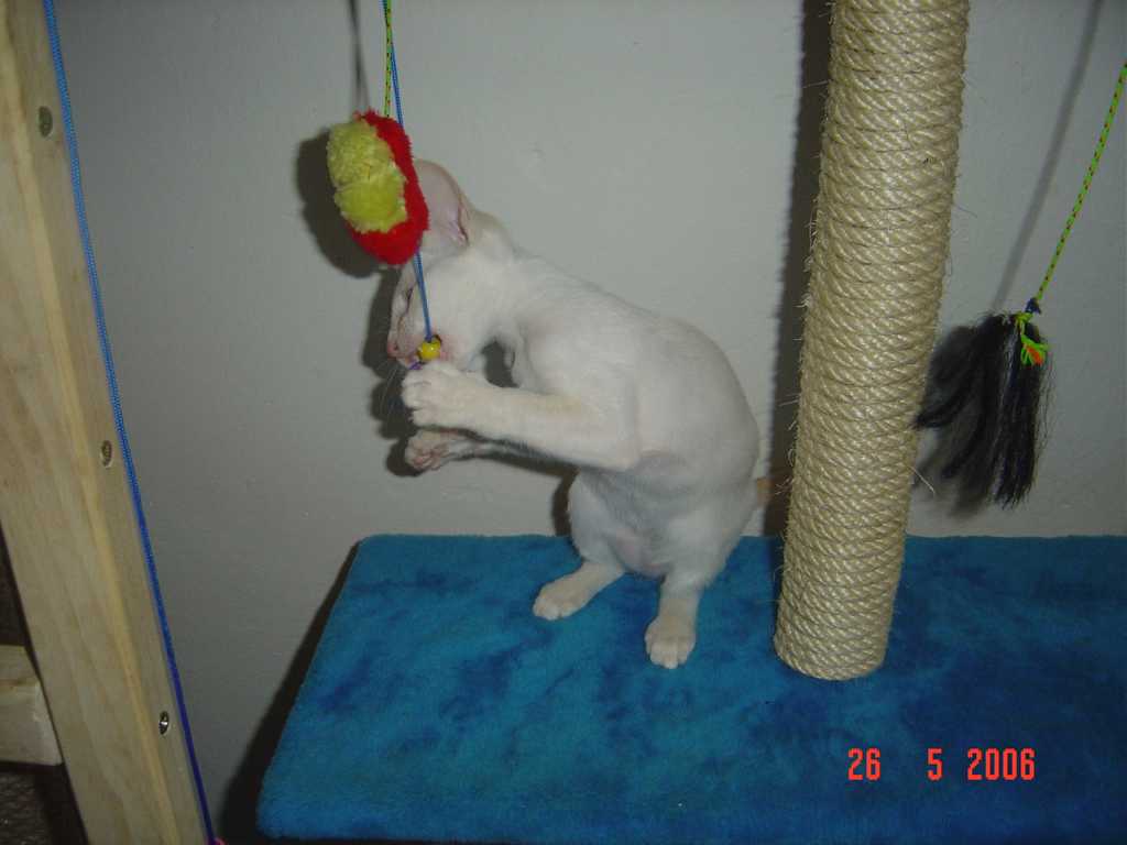DSC00523+.jpg