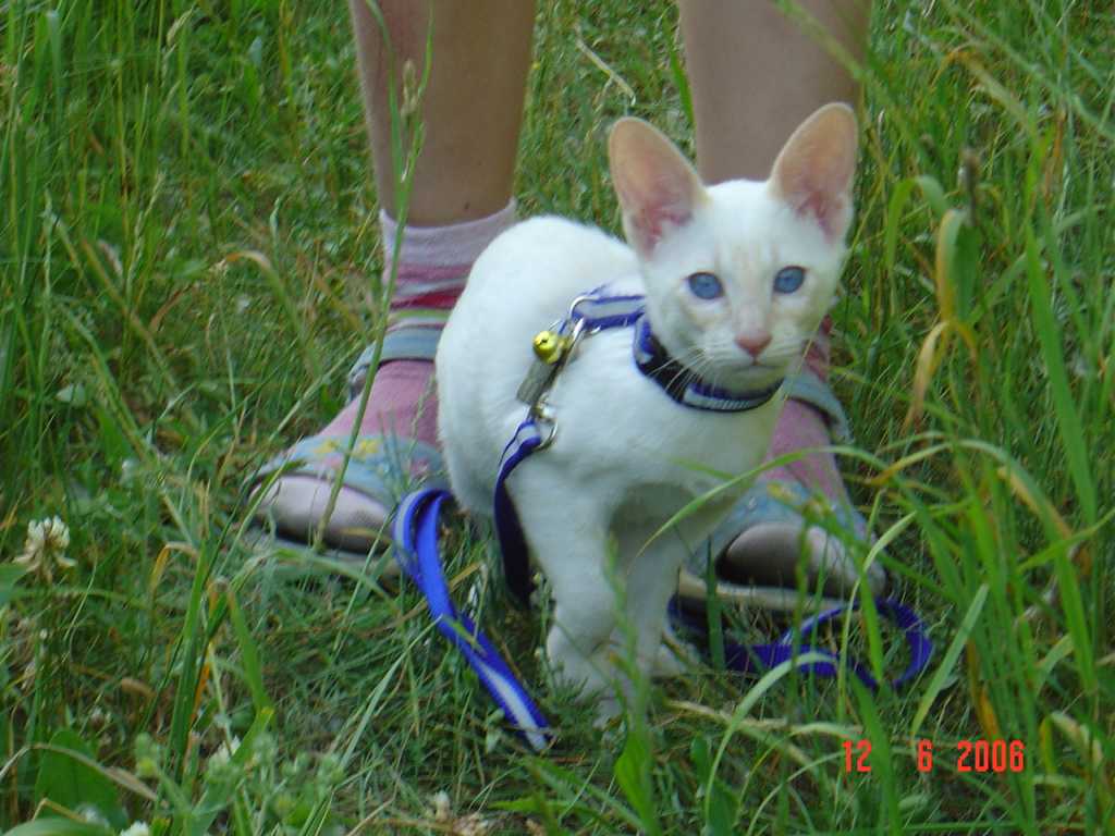 DSC00837+.jpg