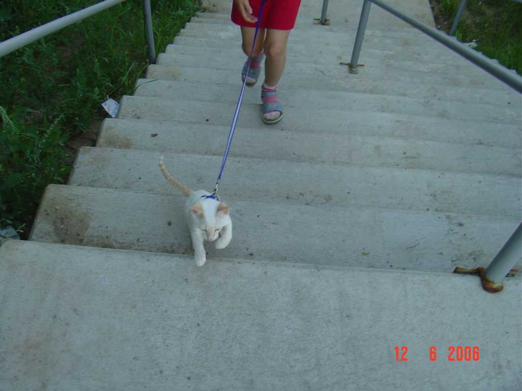 DSC00838+.jpg