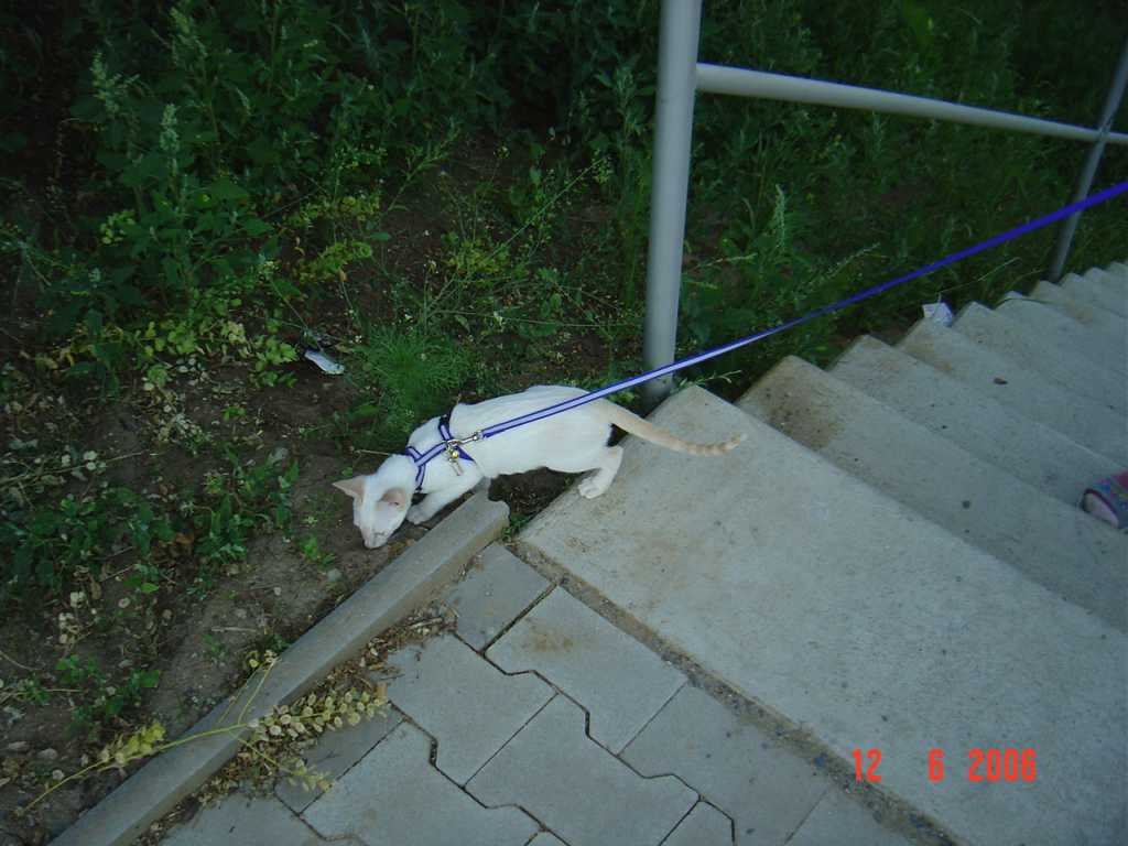 DSC00839+.jpg