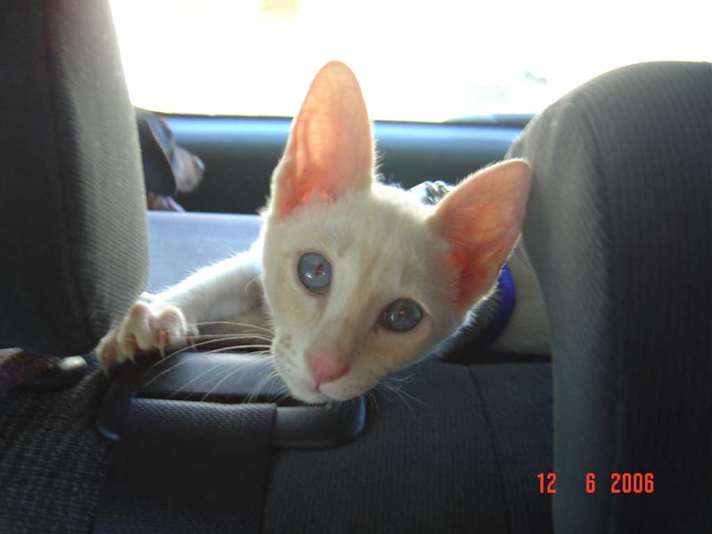 DSC00840+.jpg