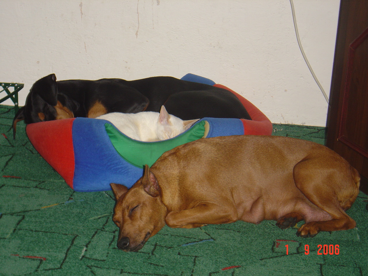 DSC00106.JPG