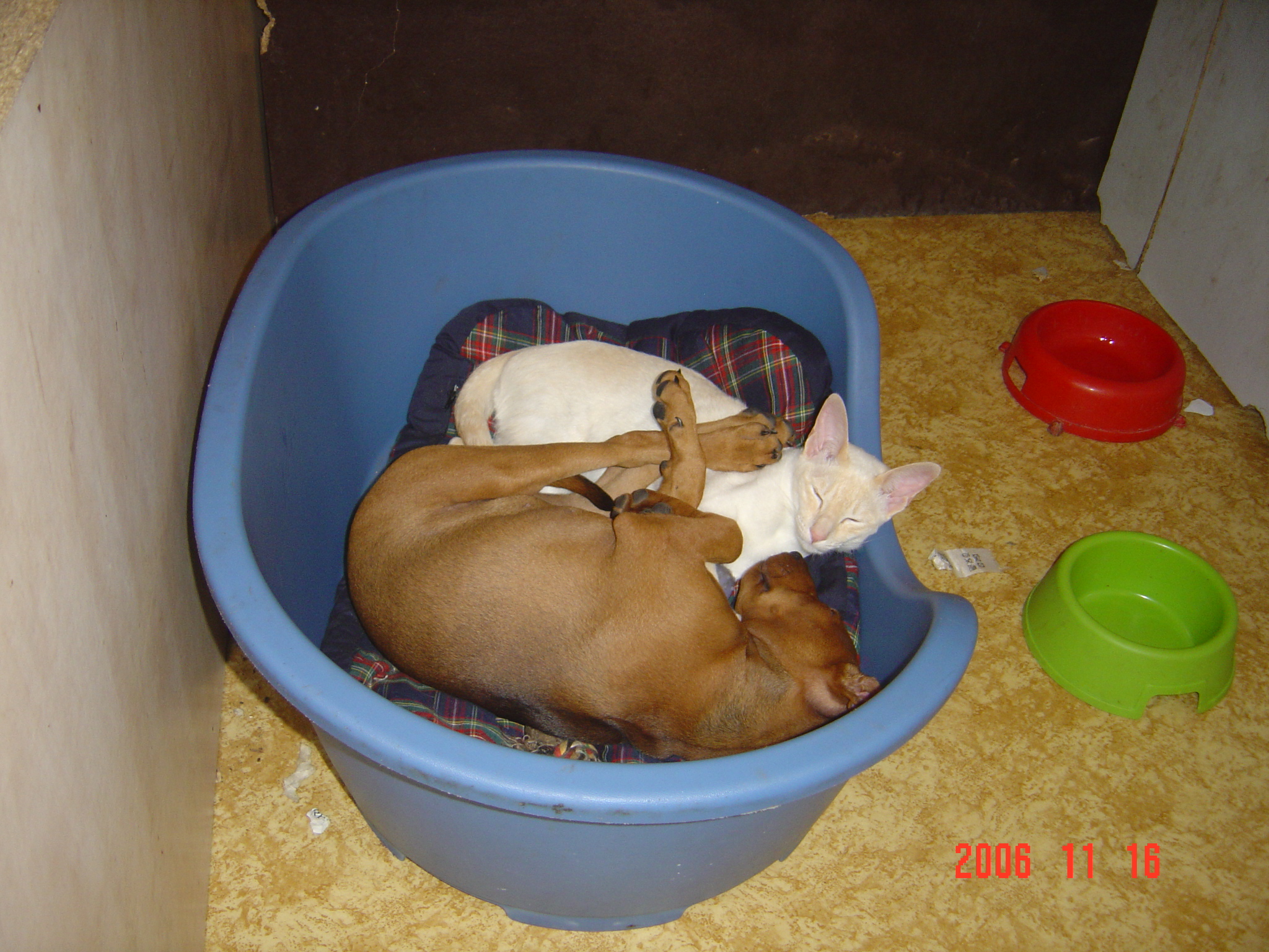 DSC00702.JPG