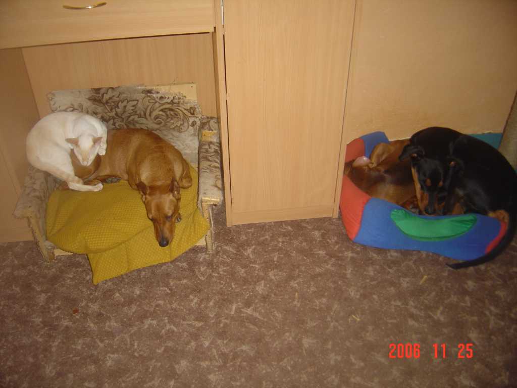 DSC00867.jpg
