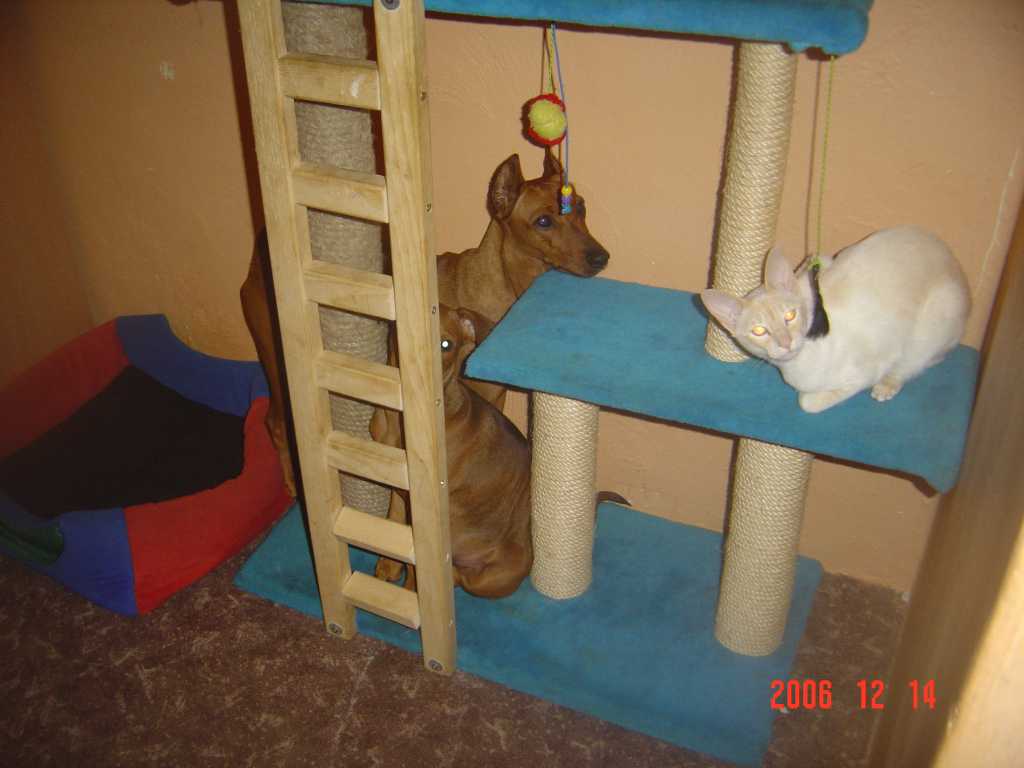 DSC01018.jpg