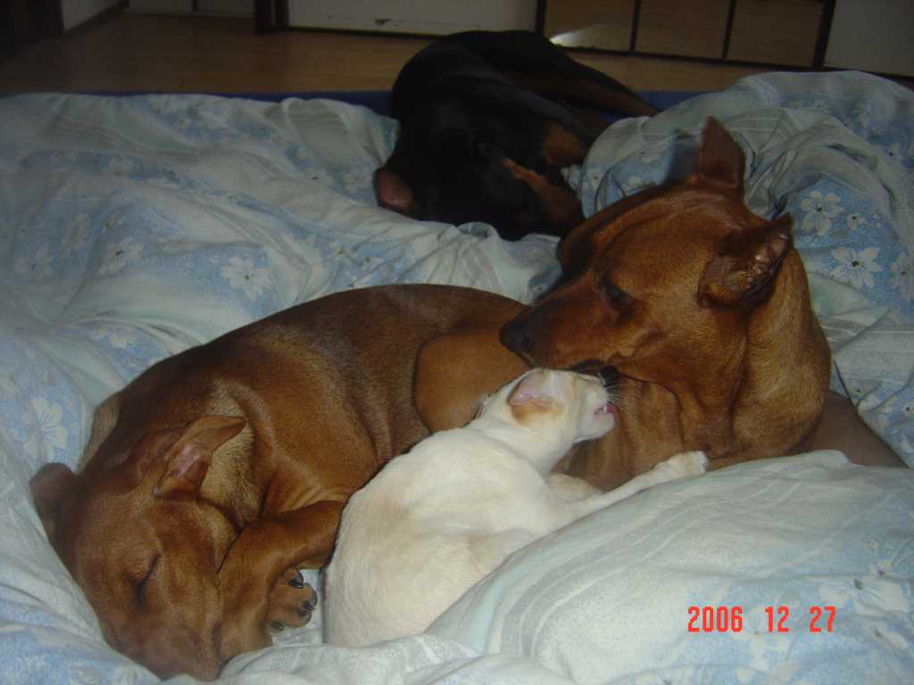 DSC01123.jpg