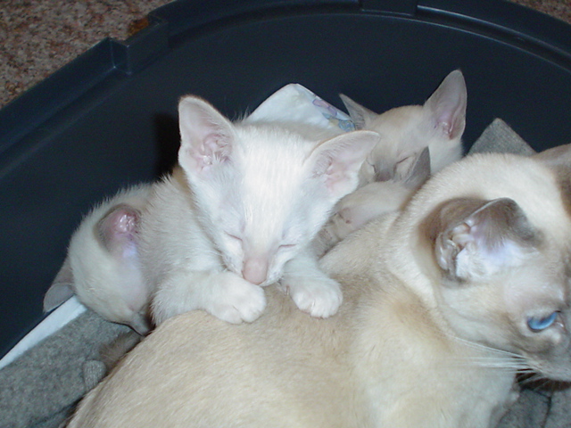 DSC01648.JPG